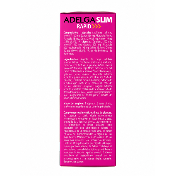 АДЕЛЬГА СЛИМ РАПИД (швидке схуднення, стрункість) 60 капсул ADELGA SLIM RAPID (артикул 107665-DM)