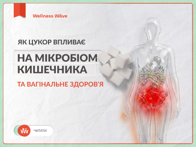 Як цукор впливає на мікробіом кишечника та вагінальне здоров’я