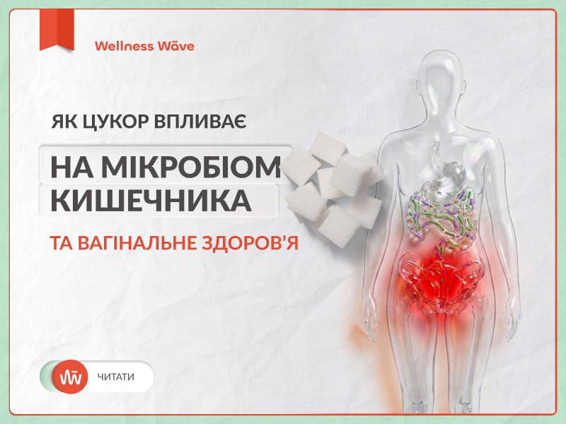 Як цукор впливає на мікробіом кишечника та вагінальне здоров’я